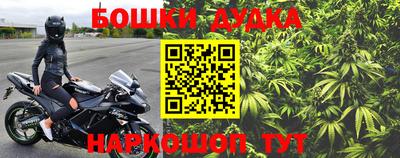 гидра Краснодар