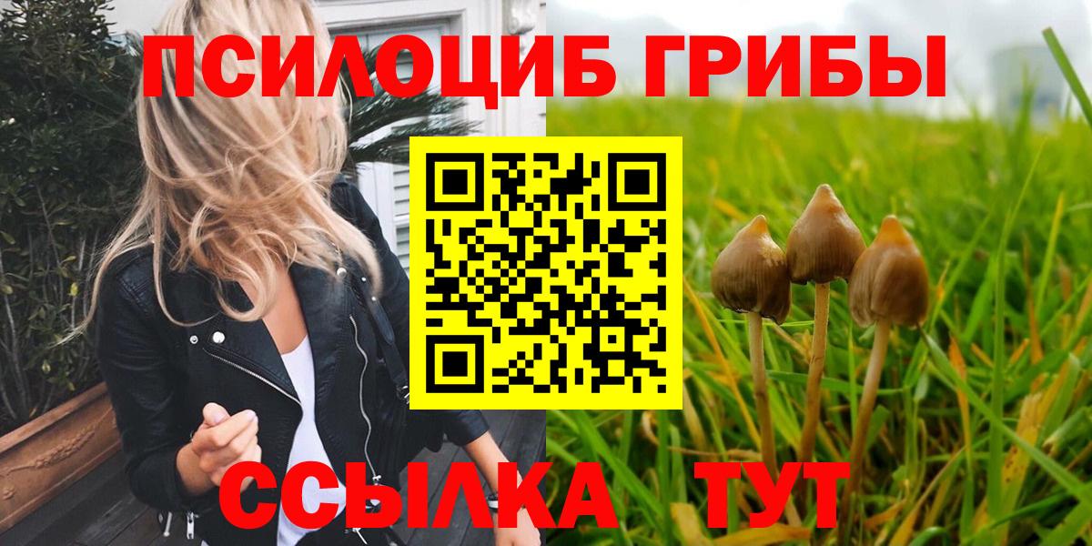 Галлюциногенные грибы Cubensis Калининград